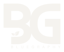 Bluegraphy
